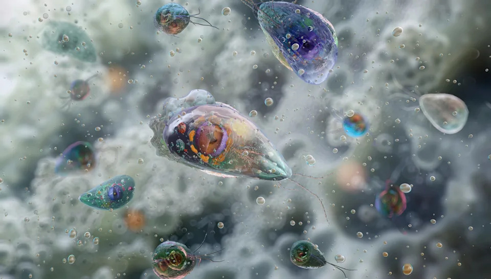 Teens brain-eating amoeba infection likely linked to water feature